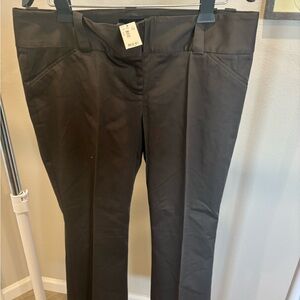 The Limited Brown Boot Cut Pants